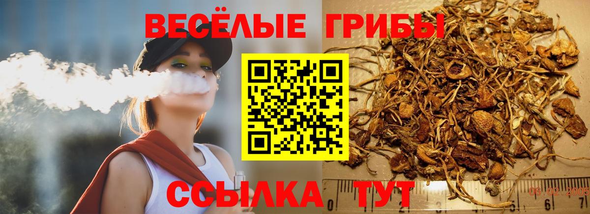 Верхний Уфалей  Галлюциногенные грибы мухоморы  Вход с VPN 